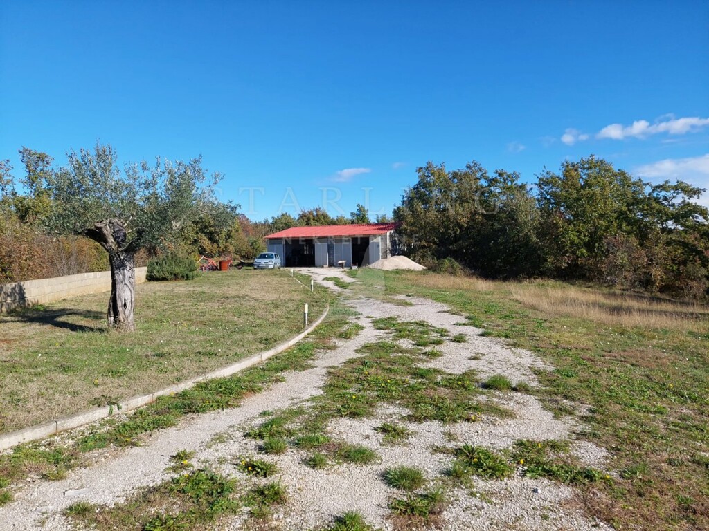 Image 8