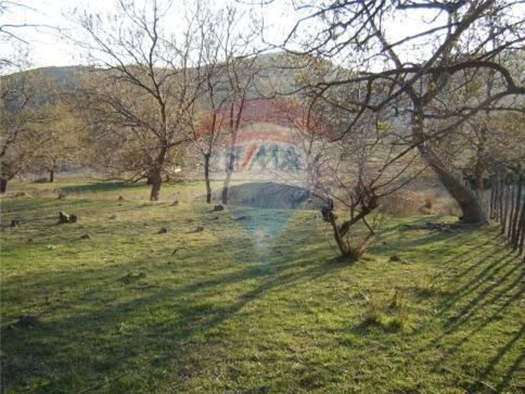 Image 5410447 - 3