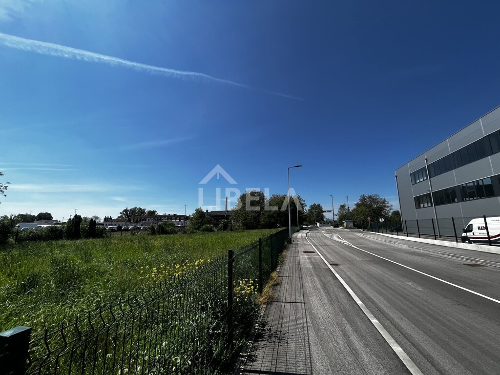 Image 8