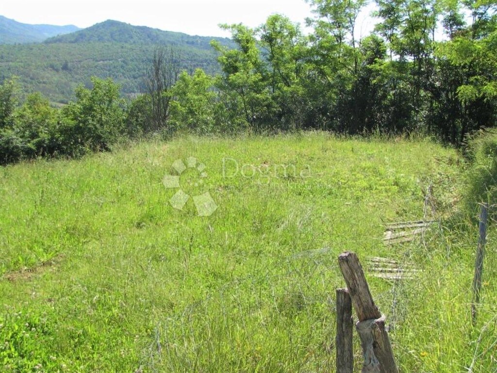 Image 9