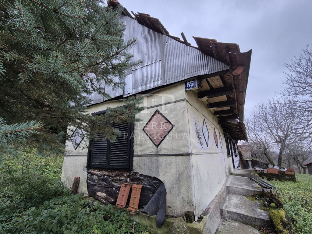 Image 10
