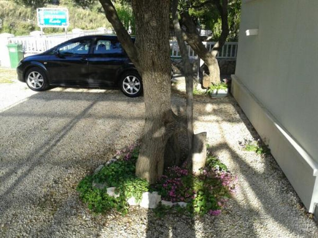 Image 3812092 - 5