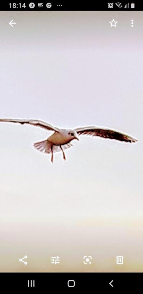 Image 3811528 - 19