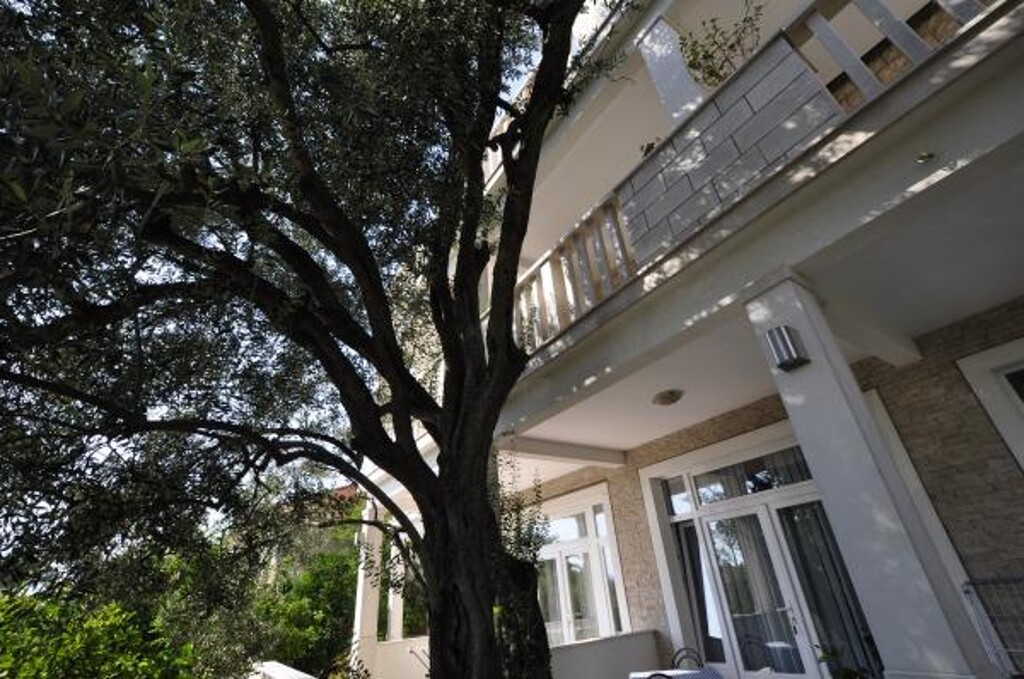 Image 3813412 - 6
