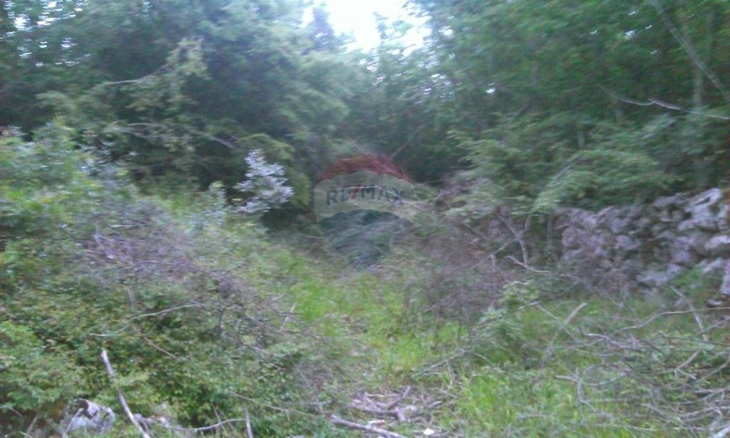 Image 5410865 - 1