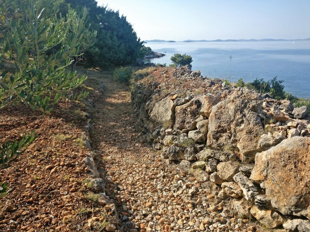 Image 19
