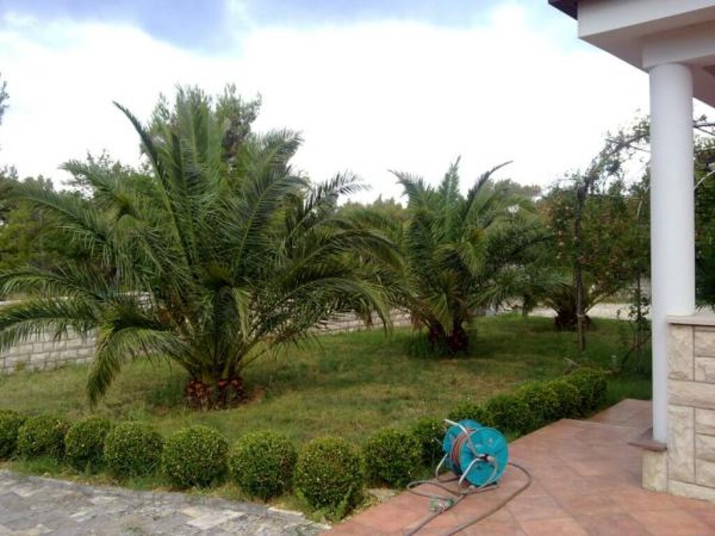 Image 3811241 - 4
