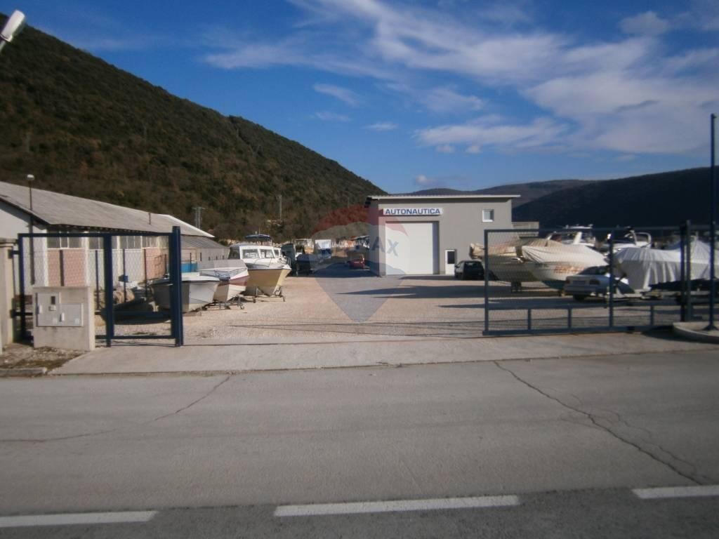 Image 19