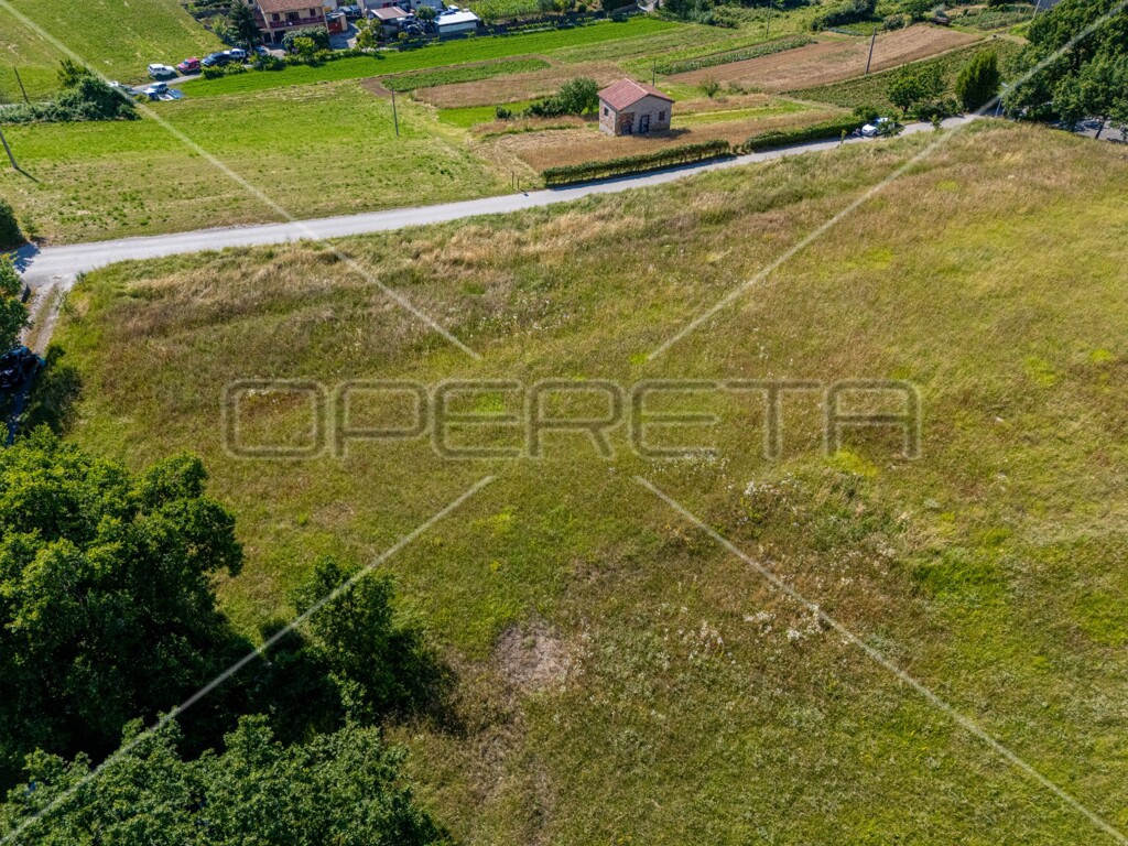 Image 23