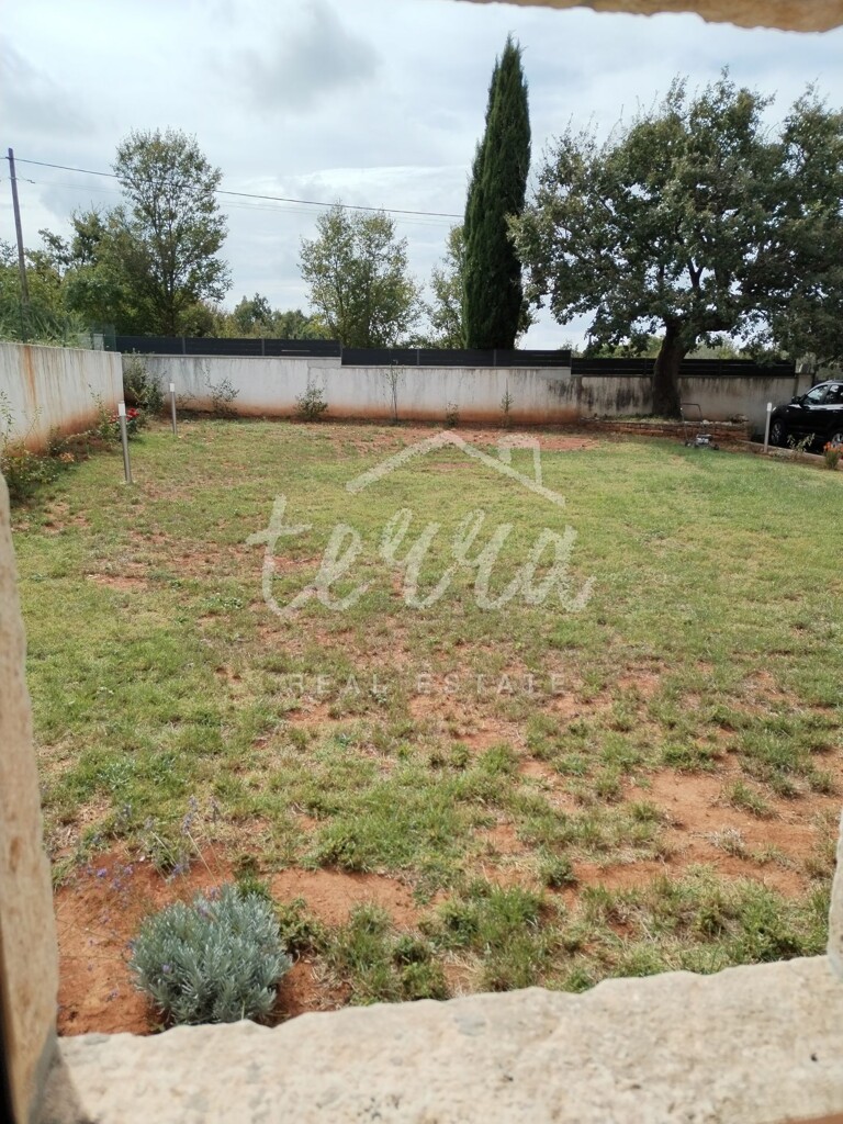 Image 13