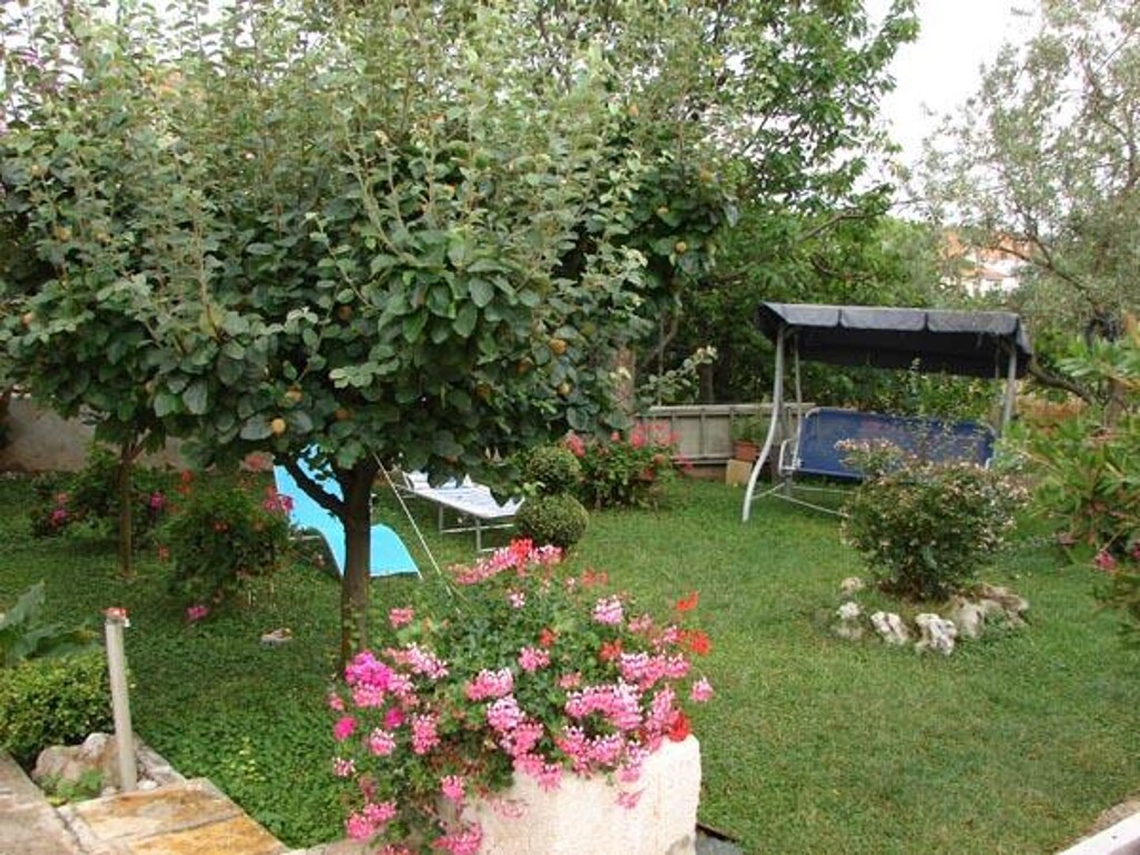 Image 3838794 - 4