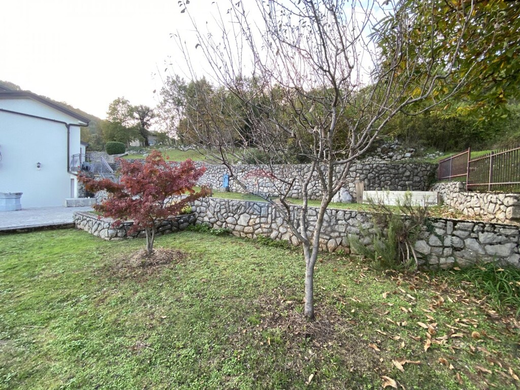 Image 6171647 - 24