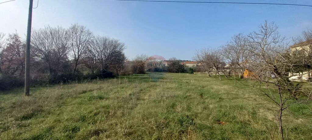 Image 5429737 - 1
