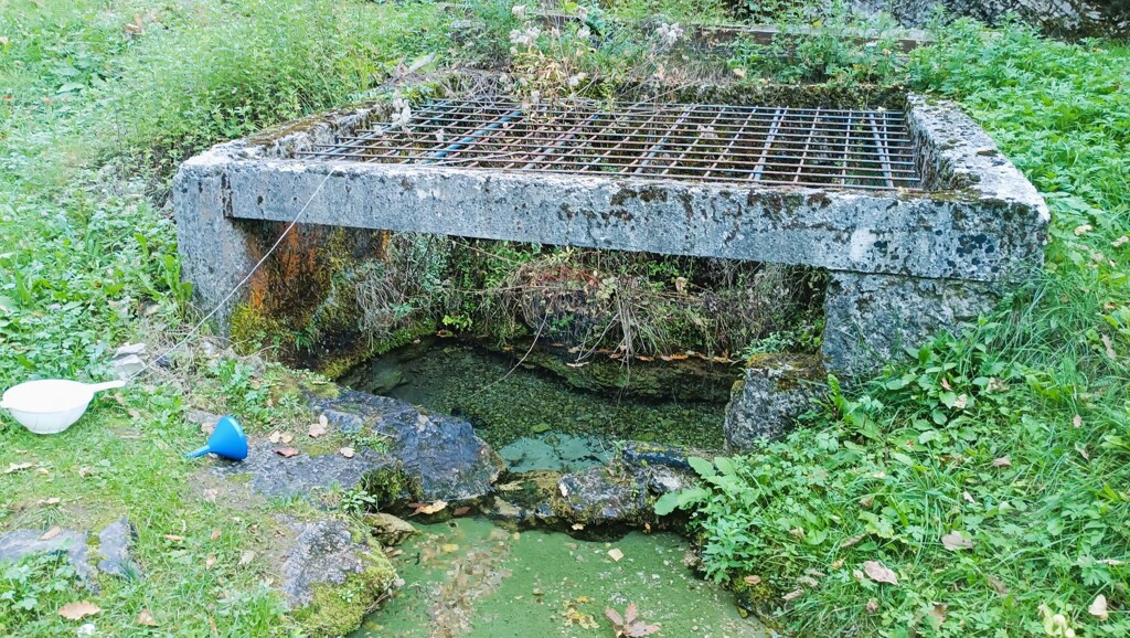 Image 17