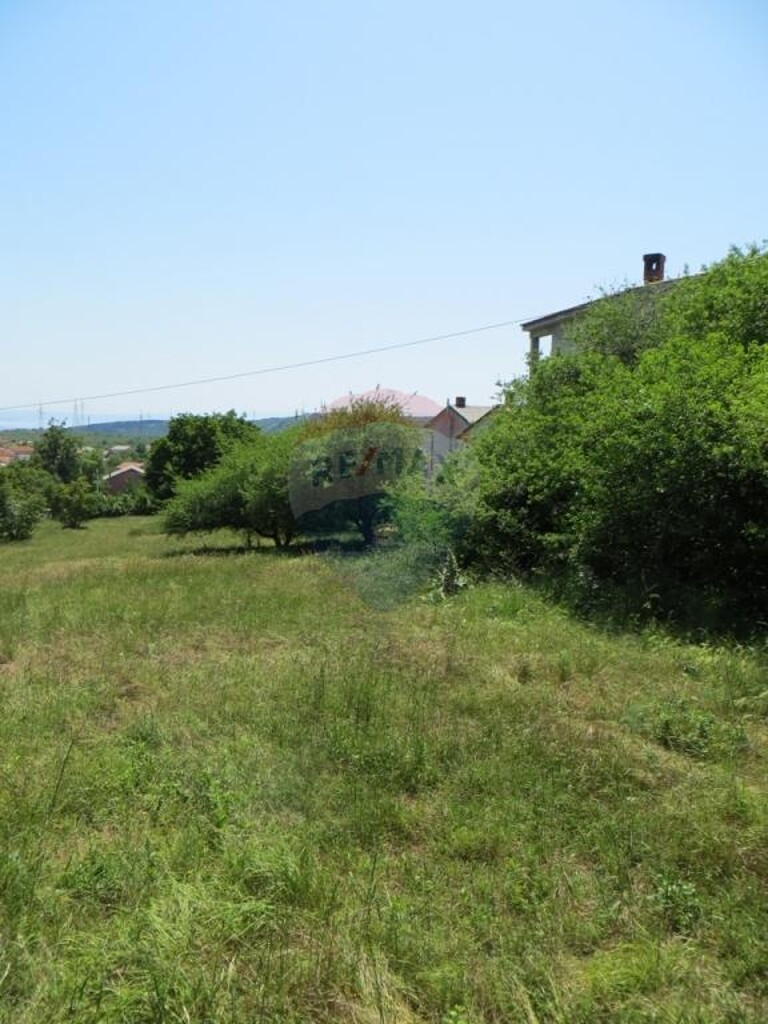 Image 5410866 - 2