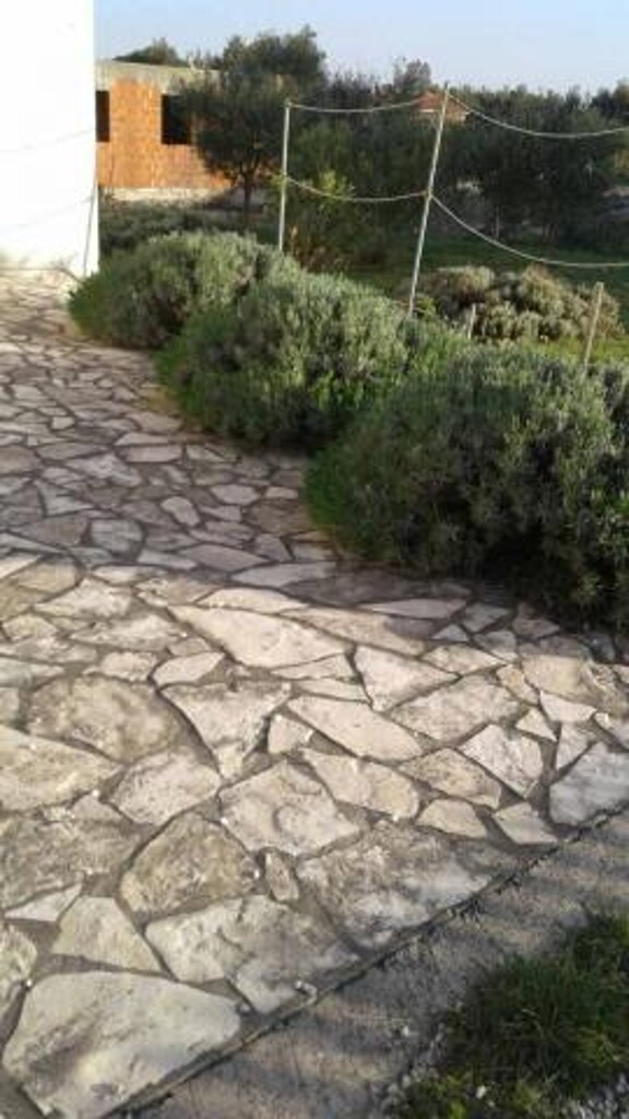 Image 3812638 - 10
