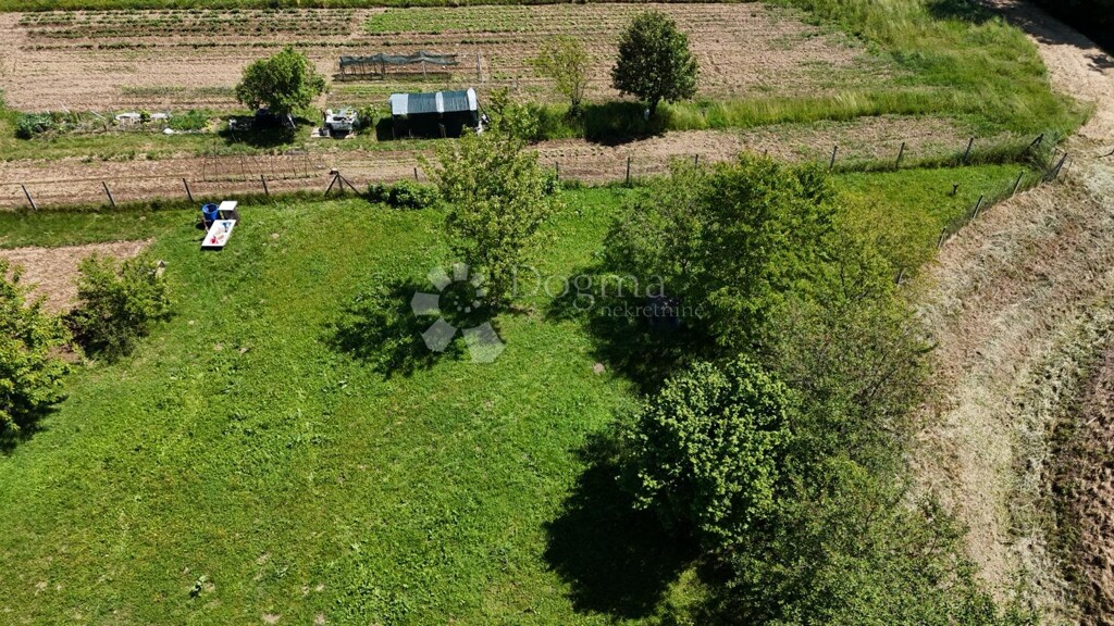 Image 21