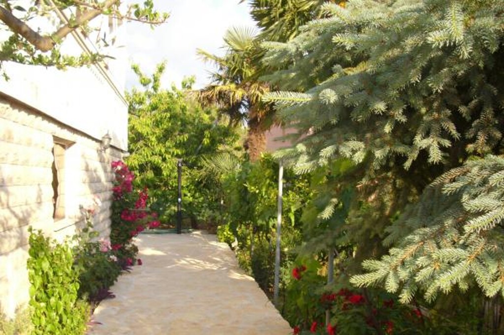 Image 3814078 - 12
