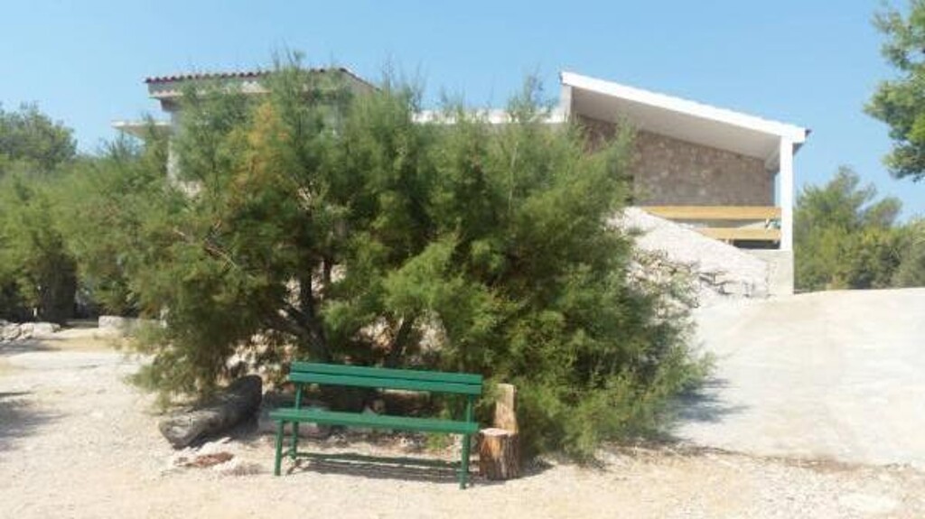 Image 12