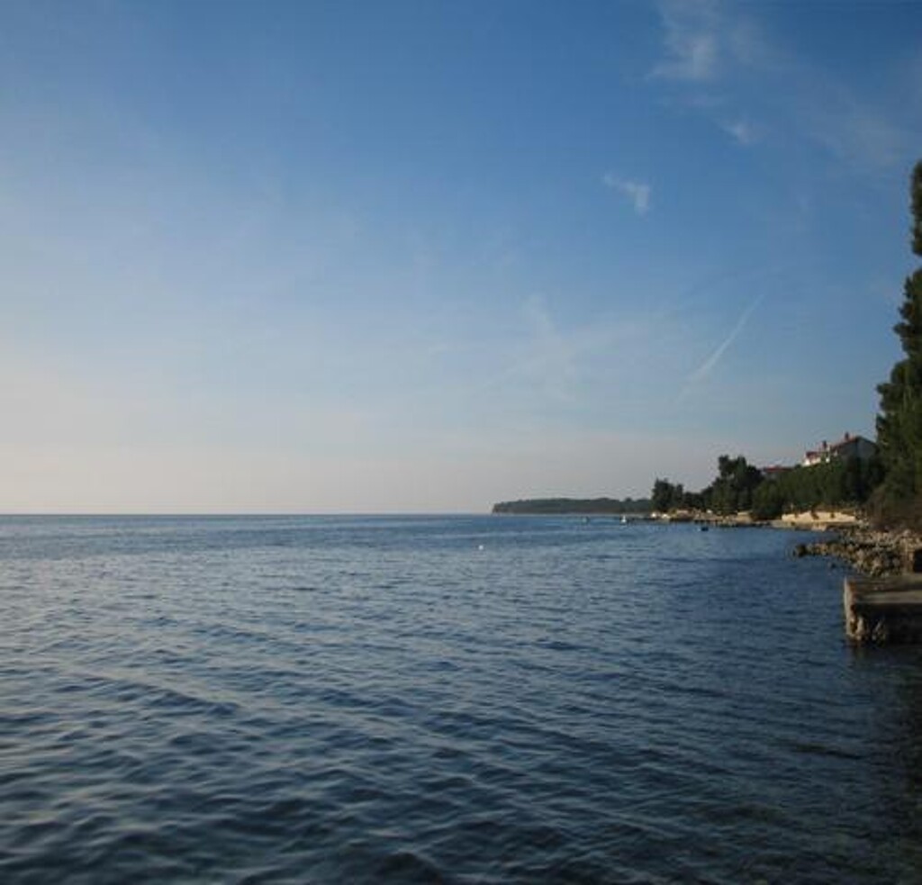 Image 3812896 - 7