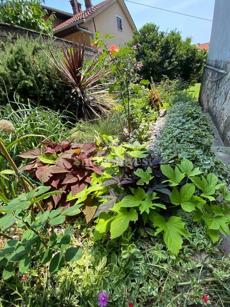 Image 22