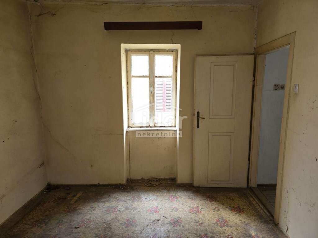 Image 13