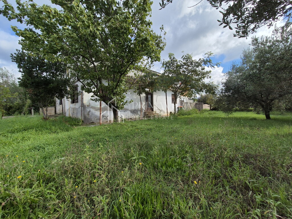 Image 13