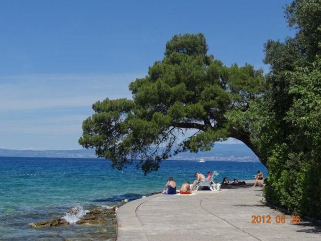 Image 3811877 - 13