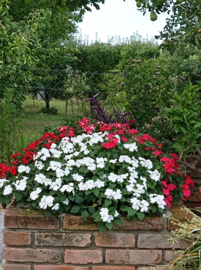 Image 13