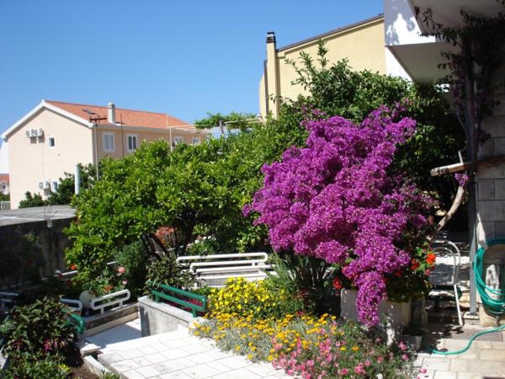 Image 3812809 - 2