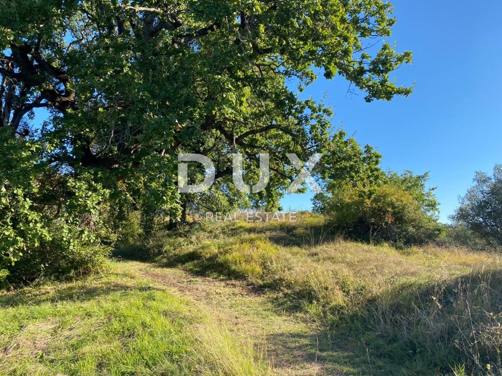 Image 20