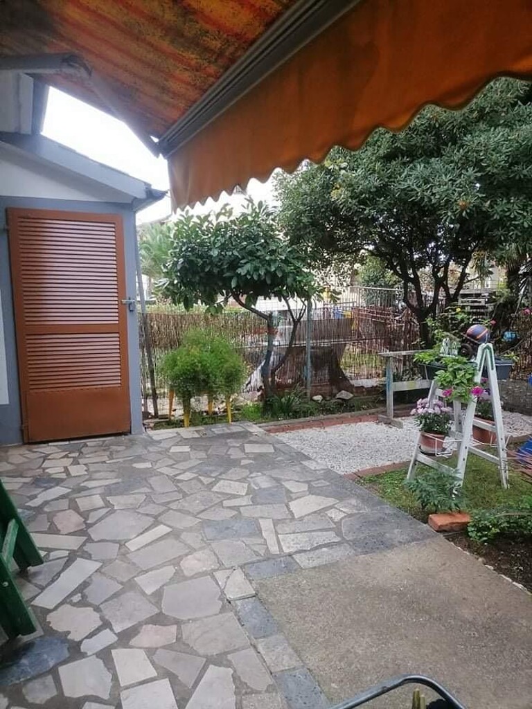 Image 5482028 - 1