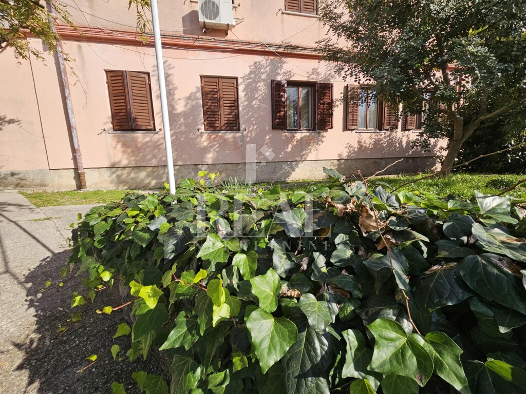 Image 18