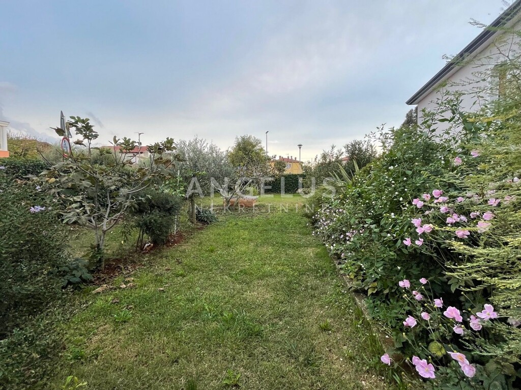 Image 6208682 - 2