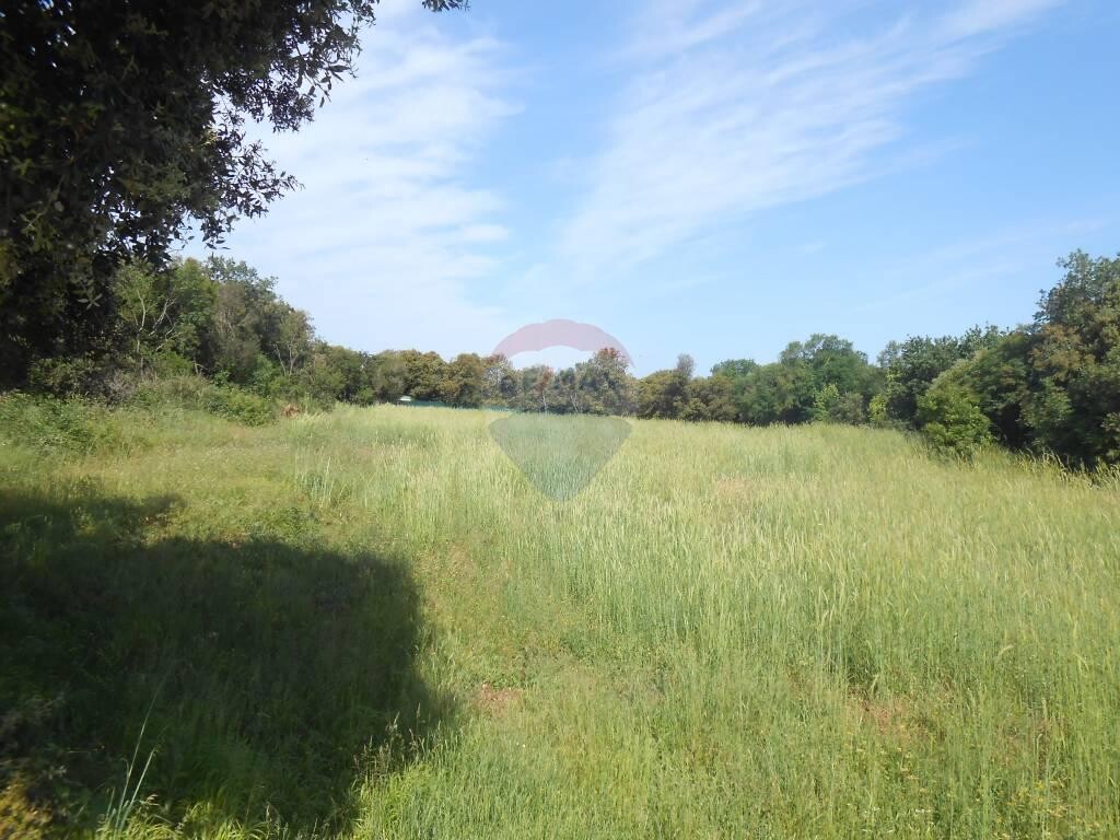 Image 5410287 - 1