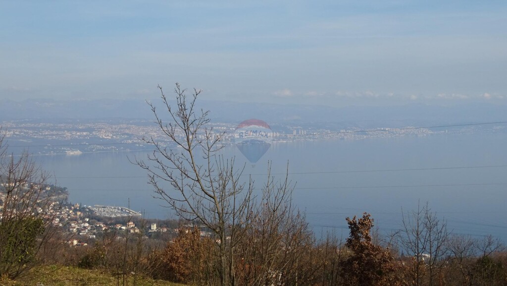 Image 5430442 - 2