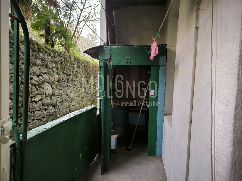 Image 14