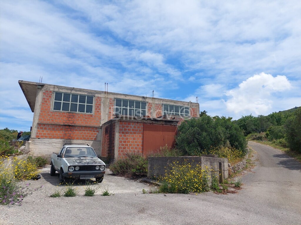 Image 13