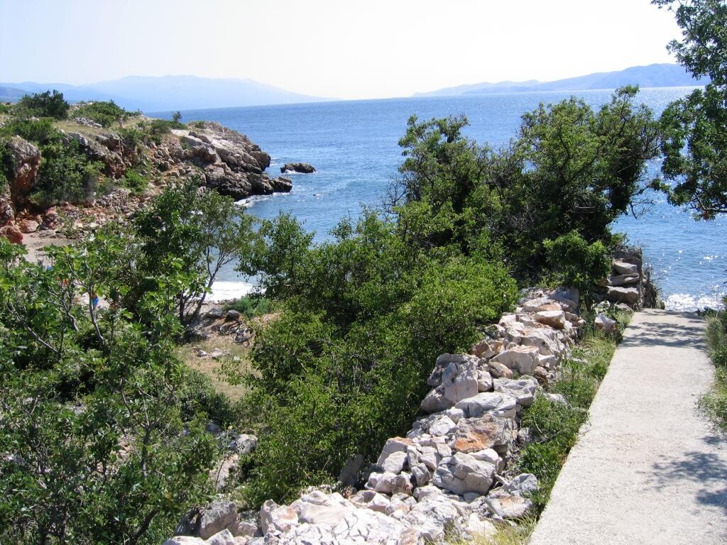 Image 10