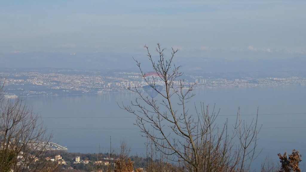 Image 5430442 - 5