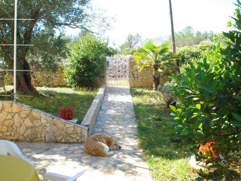 Image 3813644 - 32