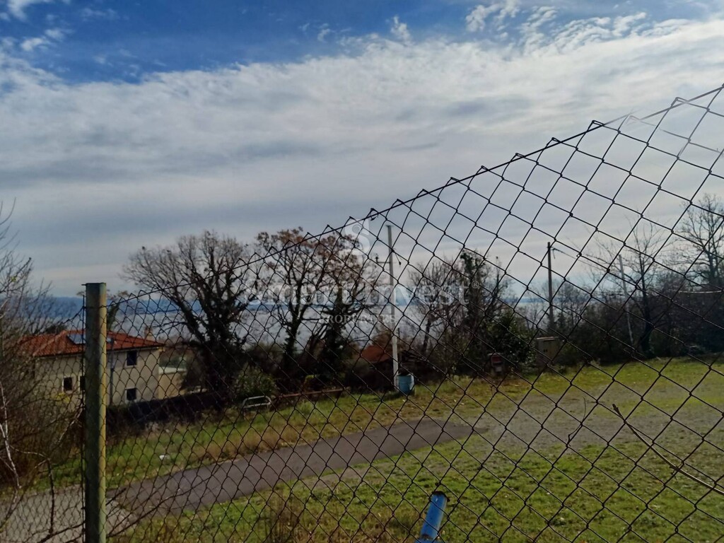 Image 15