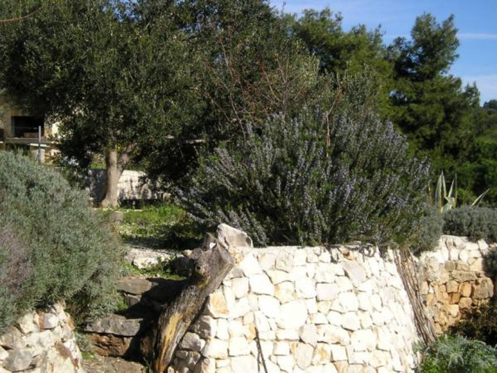 Image 3814444 - 9