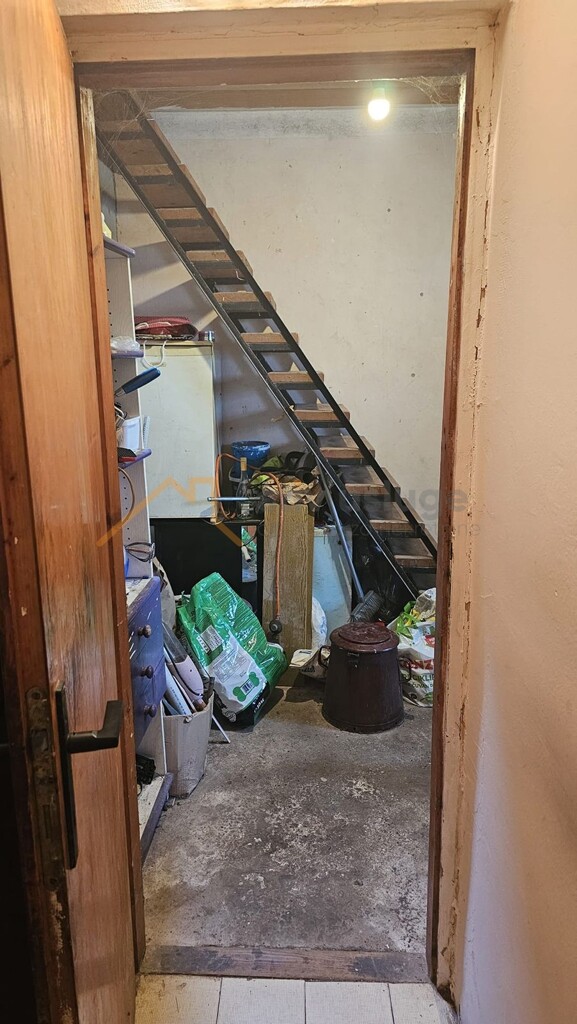 Image 15