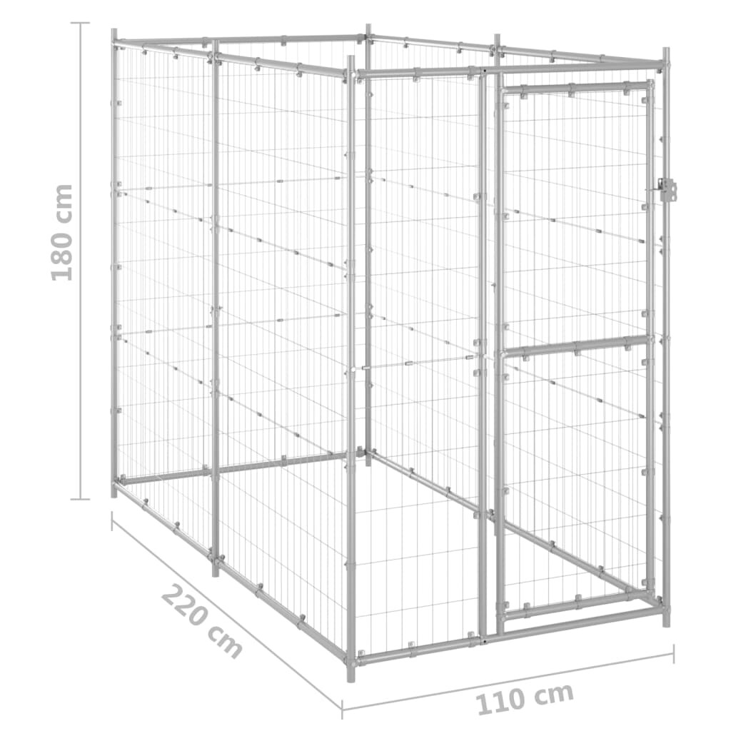 Image 5