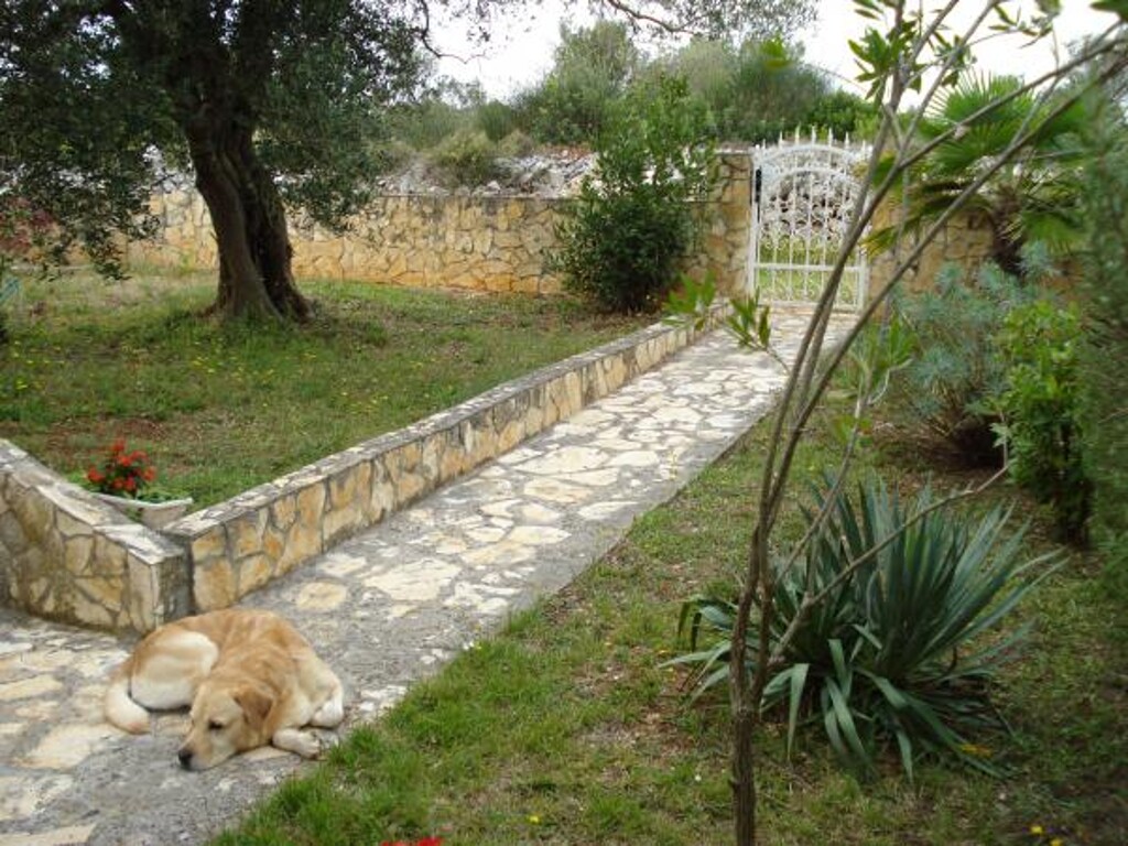 Image 3813644 - 5