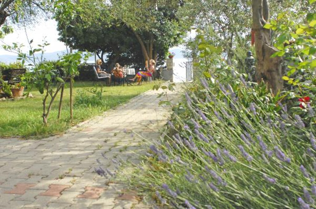 Image 3811817 - 25