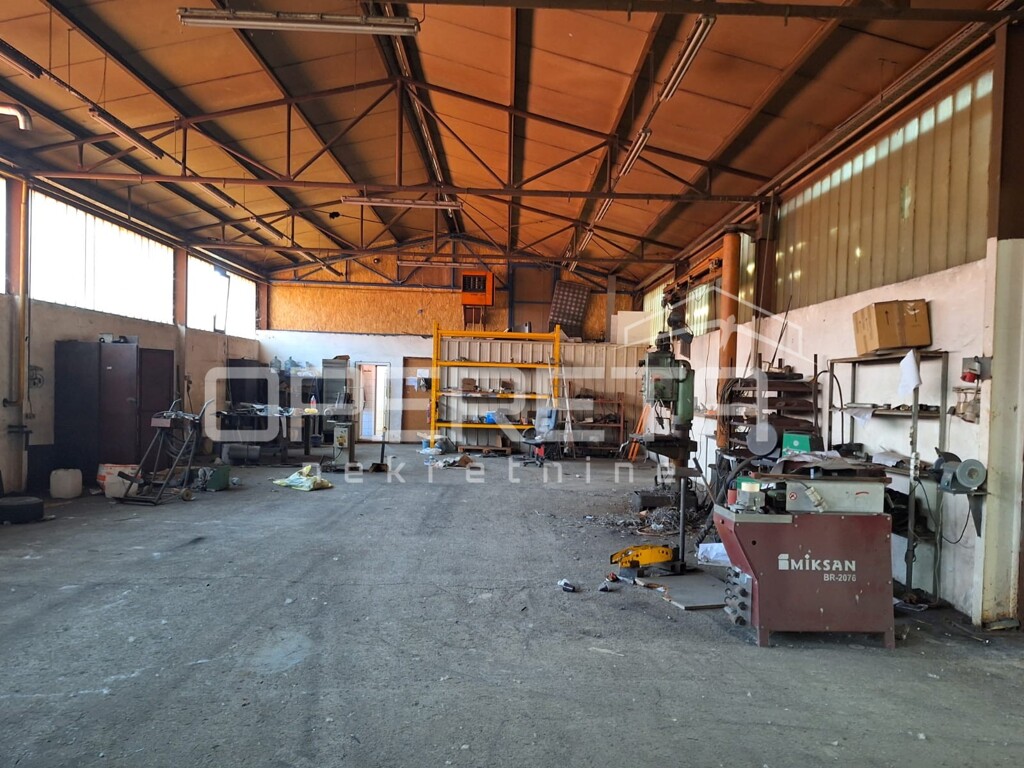 Image 7