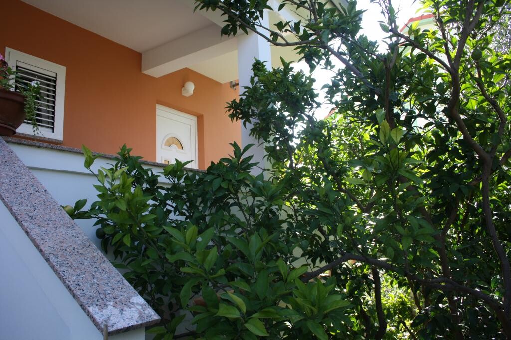 Image 3811649 - 8