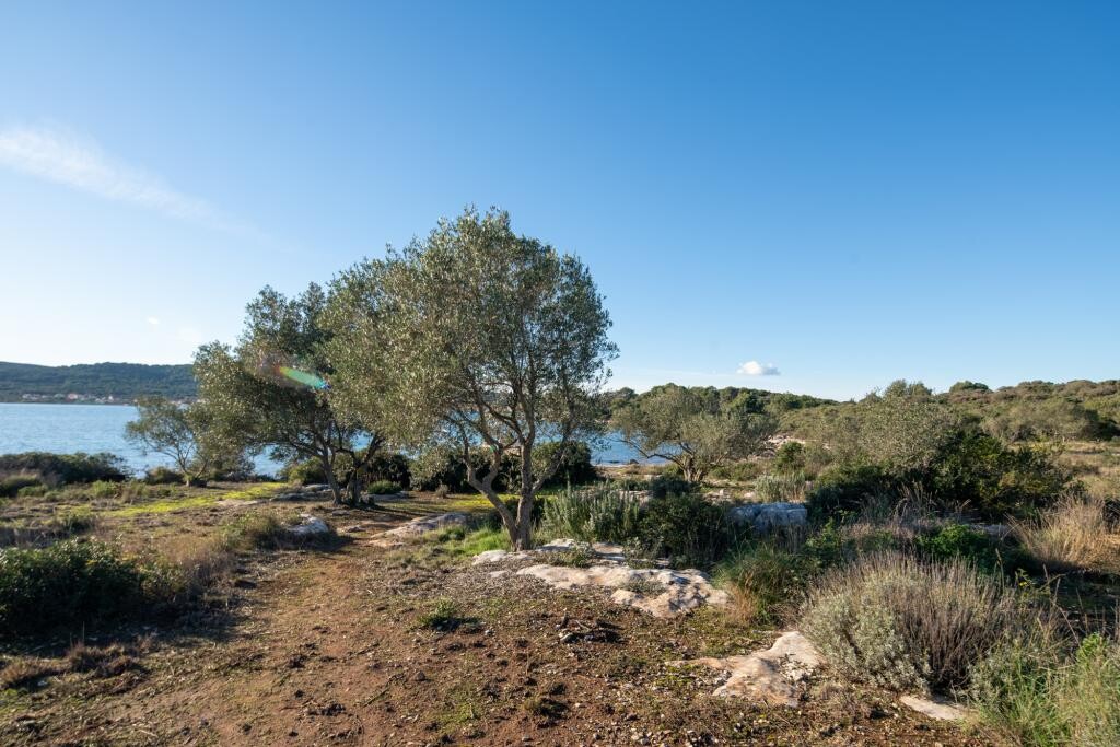 Image 12
